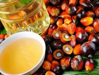 Как белорусские ученые выявляют пальмовое масло в продуктах