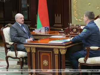 Юрий Сенько доложил Александру Лукашенко о результатах работы таможни за прошлый год