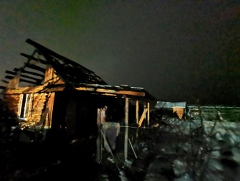 Причина пожара хозпостройки в Б. Степанишках устанавливается