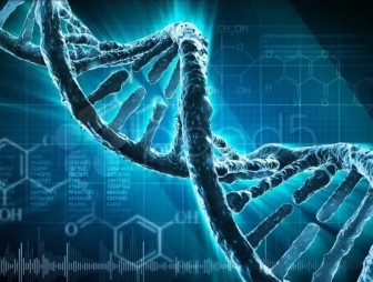 На что влияют гены и как избавиться от негативных предрасположенностей?