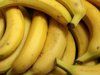 СМИ: бананы оказались под угрозой исчезновения
