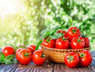 Не только полезно, но и вредно: как правильно есть помидоры