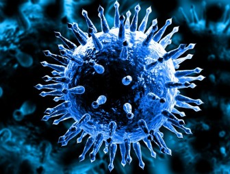 За неделю в мире коронавирусом заразились более 4 млн человек