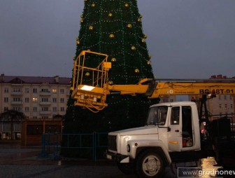 На площади Советской в г. Гродно установили новогоднюю елку. ФОТОФАКТ