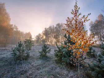 Оранжевый уровень опасности объявлен по северо-западу Беларуси 27 ноября из-за снега