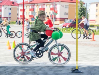VIVA РОВАР-2025