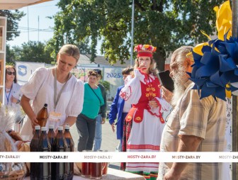 Пленарное заседание IV СЪЕЗД МАЛЫХ ГОРОДОВ