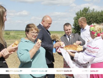 Награждение в Озёрках
