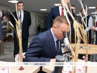 Концерт ко Дню работников сельского хозяйства и перерабатывающей промышленности АПК 2025