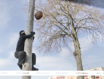 Масленица - 2026