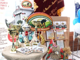 В районе  чествовали  лучших тружеников. Состоялся ежегодный праздник «Красуй, Мостовщина!»