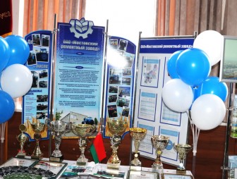 В районе  чествовали  лучших тружеников. Состоялся ежегодный праздник «Красуй, Мостовщина!»