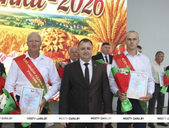 Дожинки - 2026