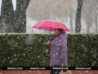 Дождь и мокрый снег ожидаются в Беларуси 14 ноября