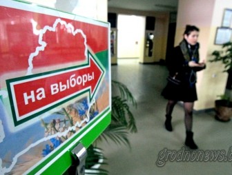 В местные Советы депутатов в Беларуси избрано 18110 депутатов