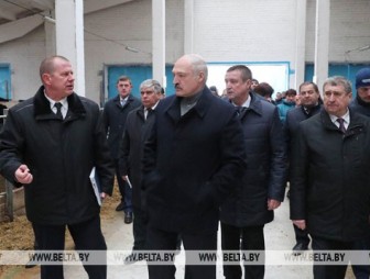 Лукашенко поручил снять с должностей всех виновных в ненадлежащих условиях хозяйствования в агрохолдинге 'Купаловское'
