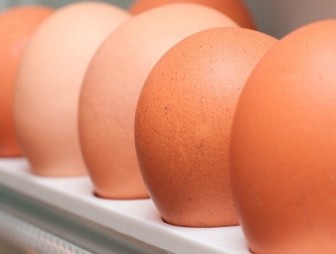 Как продлить свежесть куриных яиц