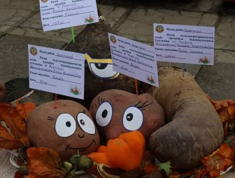 На Дожинках-2019 в Сморгони определили рекордсменов среди овощей
