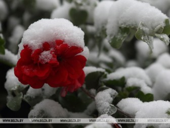 Мокрый снег и гололед ожидаются в Беларуси на этой неделе