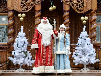 Белорусского Деда Мороза назвали самым популярным в СНГ и Грузии