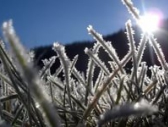 Морозы до -7°С, гололедица и туманы. Чего ждать от первого дня зимы