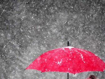 Мокрый снег с дождем и до 6 градусов тепла ожидается в Беларуси 8 декабря