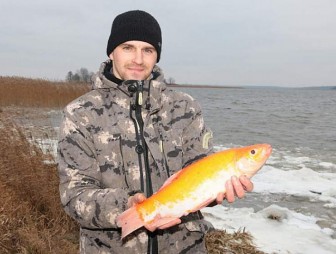 В озере Дривяты поймали золотую рыбку, которой здесь не должно было быть