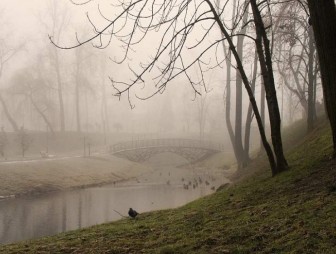 Осторожно «желтый»! В Беларуси 20 января ожидается туман