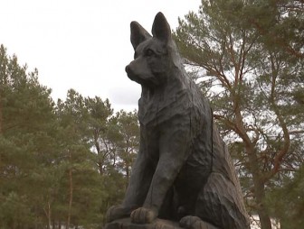 Собаки-парашютисты и кошки-радары. Памятник животным на войне хотят установить в Минске