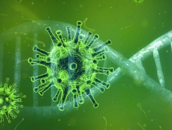 Когда коронавирус перестанет распространяться по миру – прогноз эксперта
