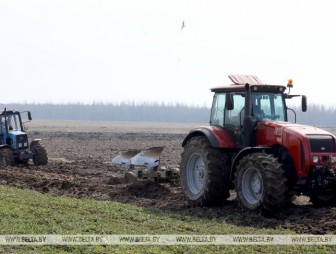 Ранние яровые посеяли в Беларуси более чем на 35% площадей