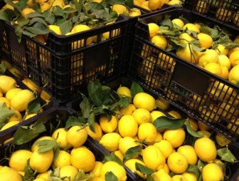 Сообщения о значительном росте цен на лимоны, имбирь и чеснок поступили на телефонную линию МАРТ