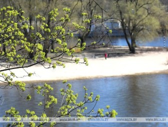 До +11°С и без осадков ожидается в Беларуси 20 апреля