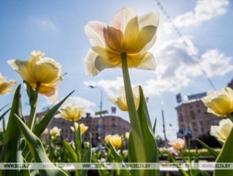 В Беларуси потеплеет во второй половине недели