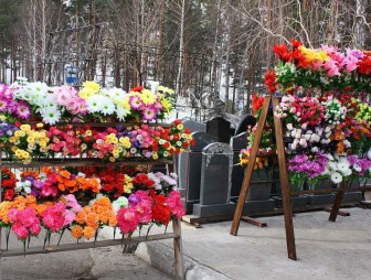 Санслужба предлагает запретить продажу искусственных цветов вблизи кладбищ