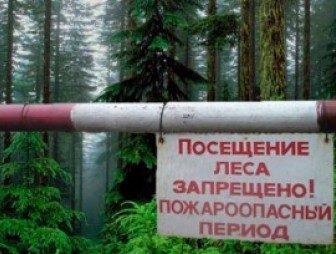 О запрете посещения лесов в Мостовском районе