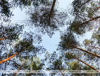 День Земли отмечается сегодня в 50-й раз