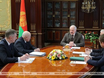 'Лес остается нашим богатством' - Президенту внесли на рассмотрение проект указа о лесном хозяйстве