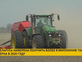 Беларусь намерена получить более 8 миллионов тонн зерна