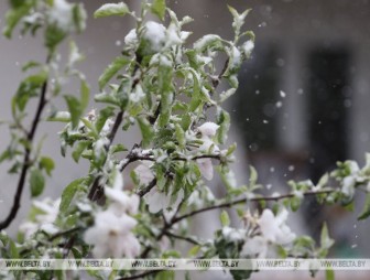 ФОТОФАКТ: Снег выпал в Гродно