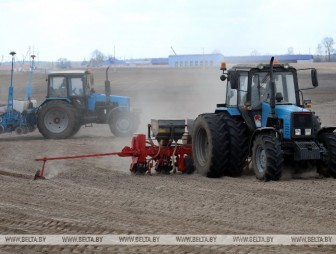 В Беларуси завершается сев кукурузы