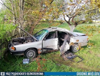 Серьезная авария под Вороново: водитель не справилась с управлением и врезалась в дерево