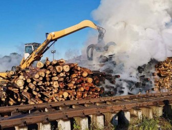 В Мостах произошел пожар на предприятии по переработке древесины