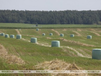 Первый укос трав проведен в Беларуси на 71,4% площадей