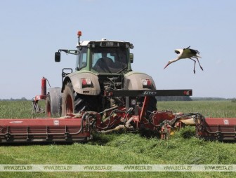 Первый укос трав проведен в Беларуси почти на 90% площадей