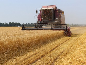 Белорусские аграрии намолотили более 1,5 млн т зерна