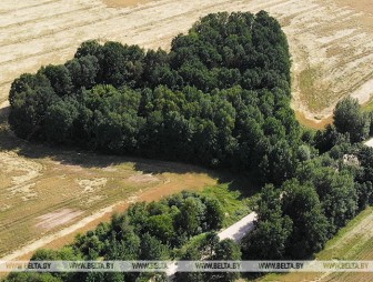 Дожди и до +24°С ожидается в Беларуси 1 августа