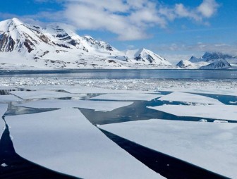 Арктике предрекают свободу ото льда к 2035 году