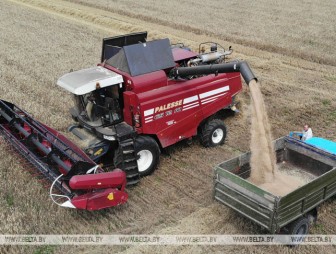 В Беларуси осталось убрать менее четверти площадей зерновых