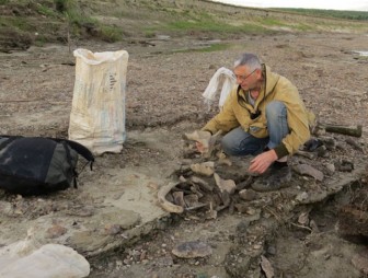 Кладбище мамонтов обнаружили в Тюменской области